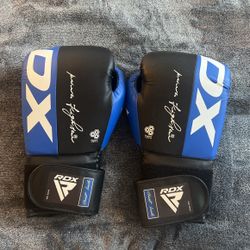 RDX 10ox Boxing Gloves 