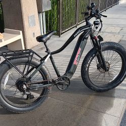Young Electric Bike
