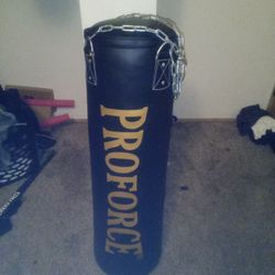 Brand New Punching Bag Barely Used 