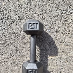 Single Dumbbell 15 Lbs