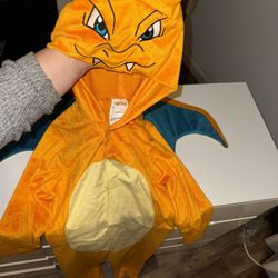 Charizard Costume 