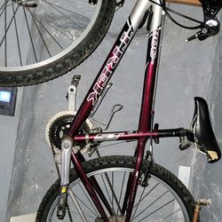 Trek 800 Bike $100