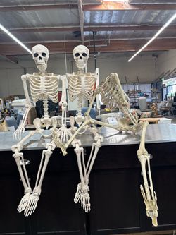 Ultra-poseable Day of the Dead 3pk Skeleton Decoration
