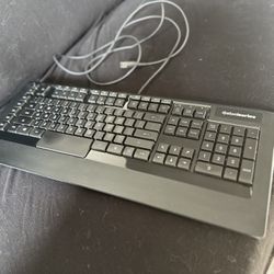 Steelseries Apex Raw Keyboard