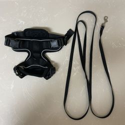 Leash With Harness 