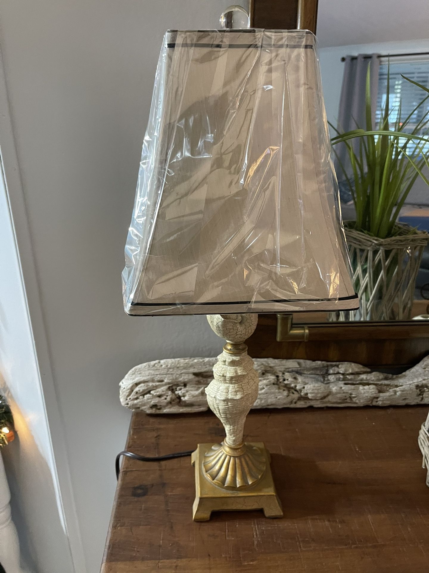 Beautiful Shell Lamp