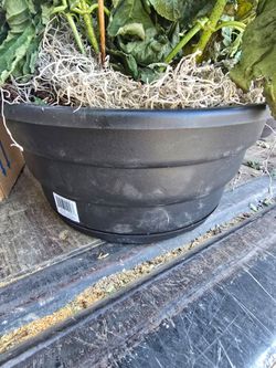 Plastic plant pots