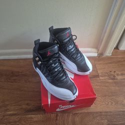 Jordan Retro 12