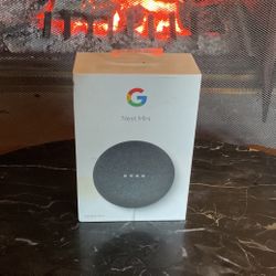 Google Nest Mini, Second Generation Edition 