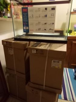 20 gallon aquarium