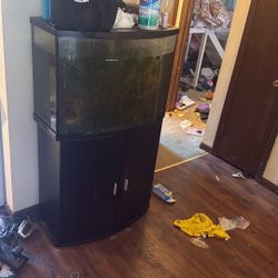 Fish Tank For Sale 
