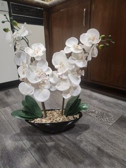 faux orchids