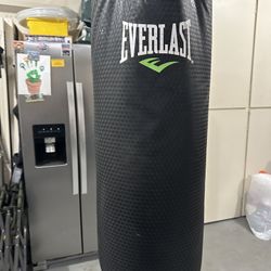 Everlast Punching Bag