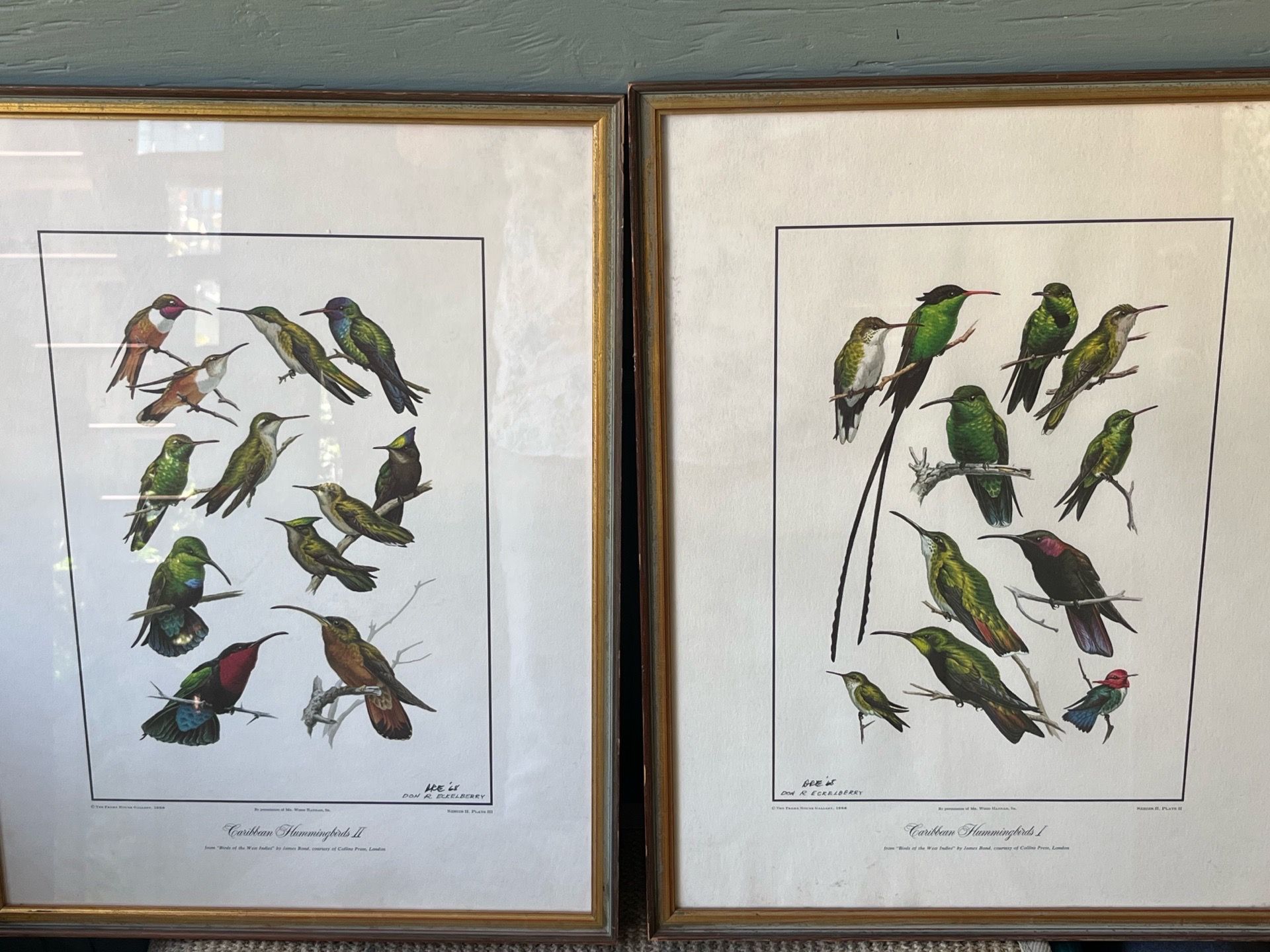 Beautiful antique hummingbird prints signed