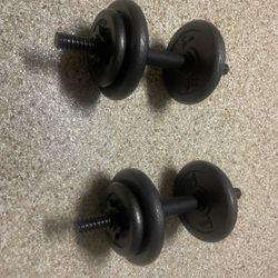 Adjustable 20lb Dumbbells