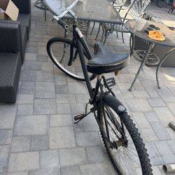 Beach bicycle Diamond Back