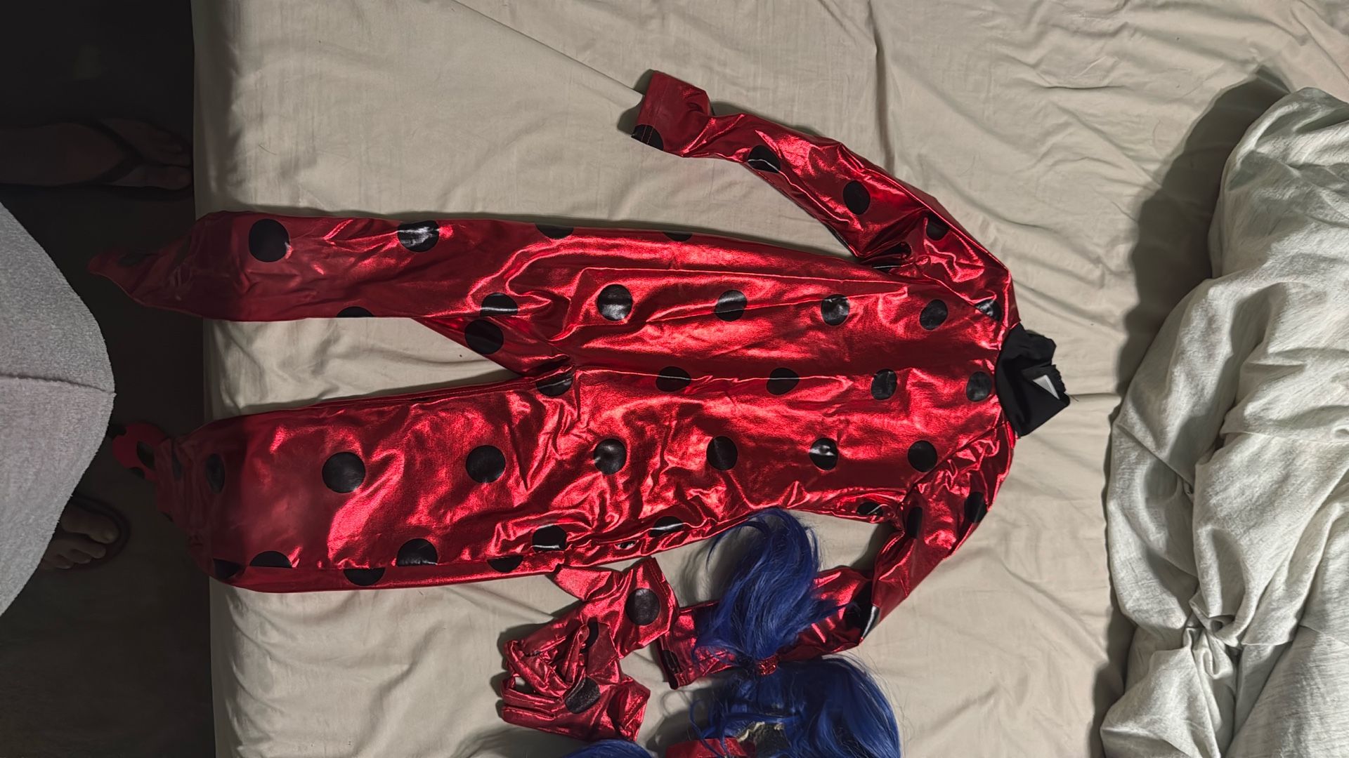 Girls Ladybug Costume