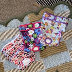 Dog Diapers, Brand New, XL