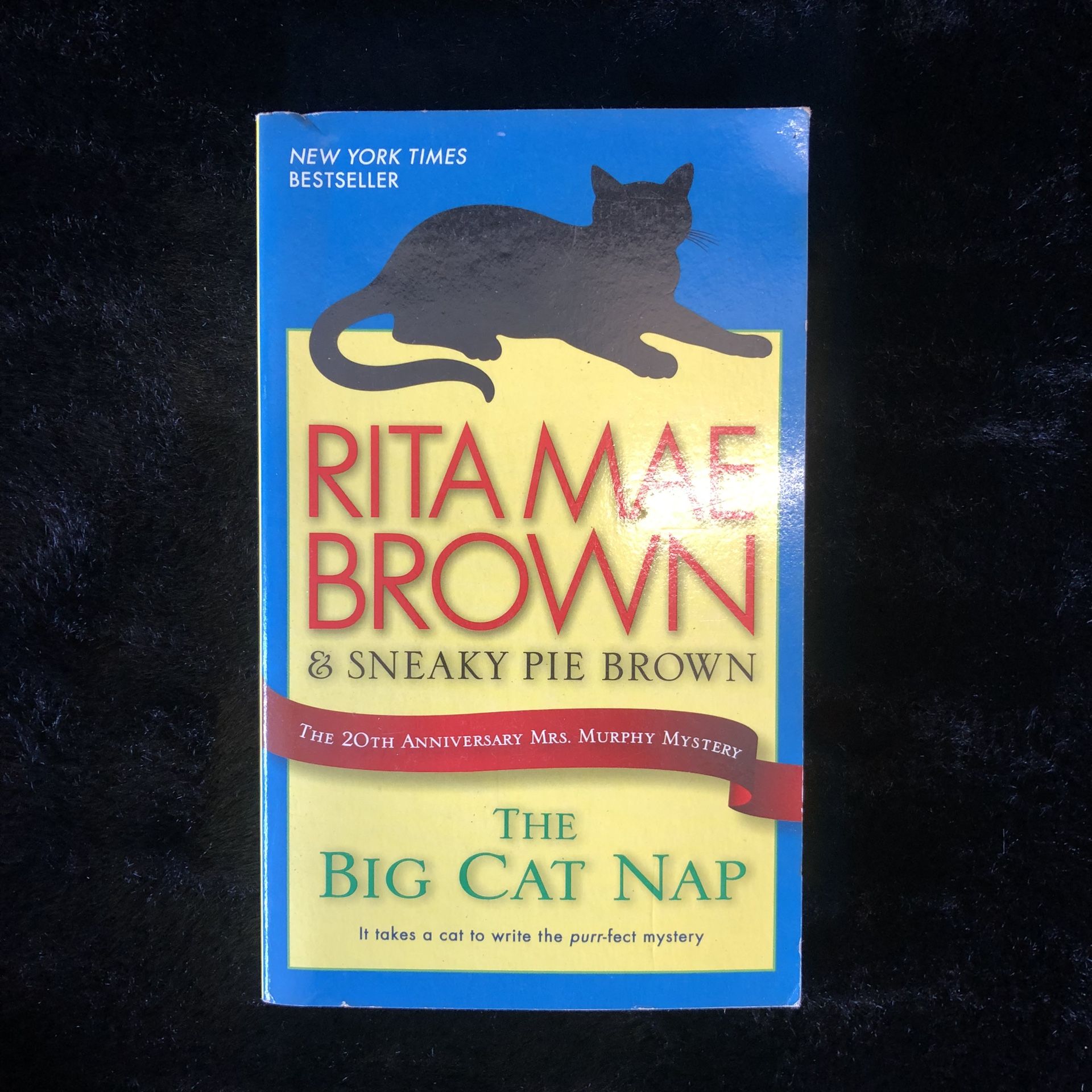 The Big Cat Nap - Paperback