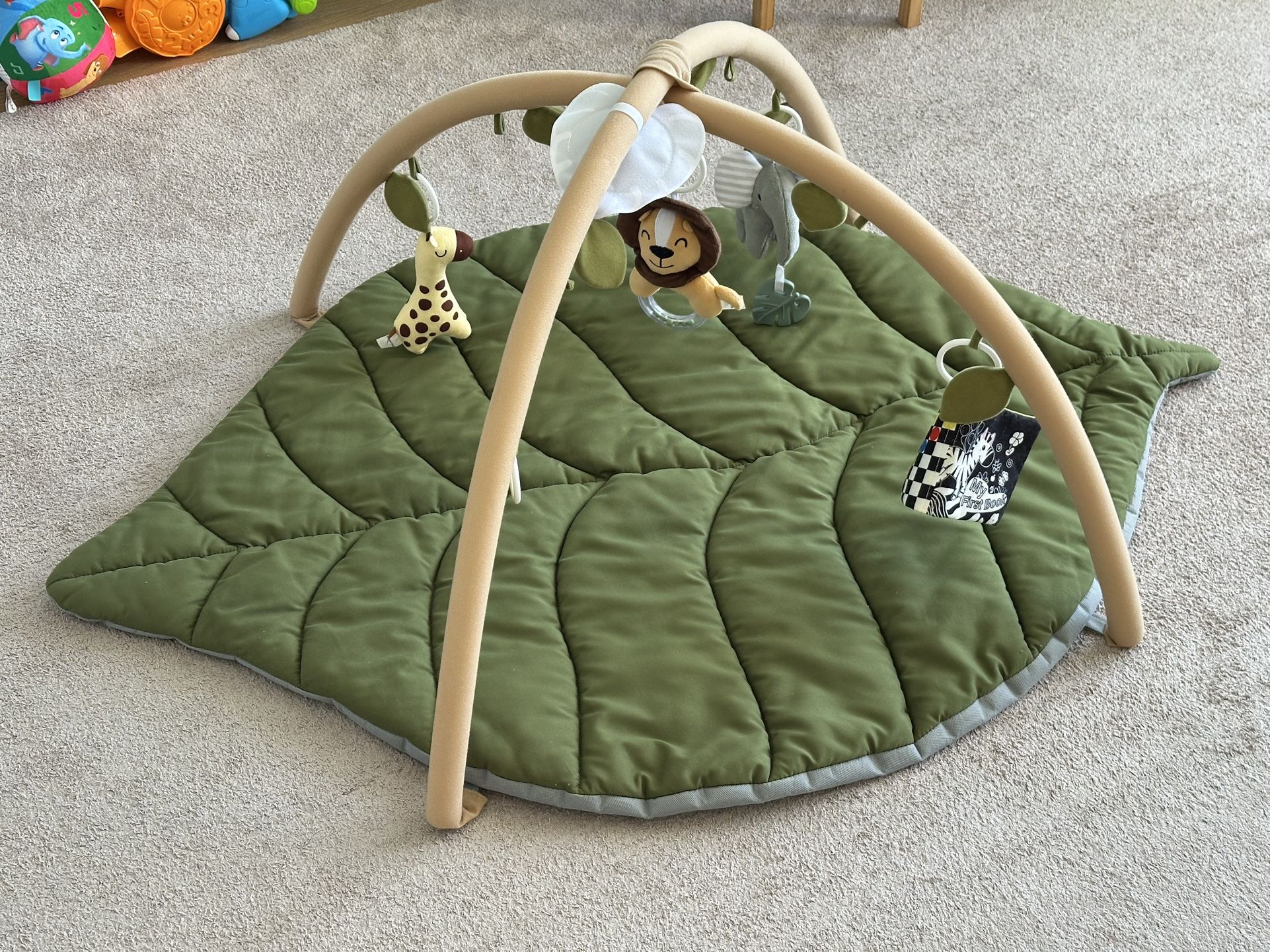 Play Gym & Activity Mat