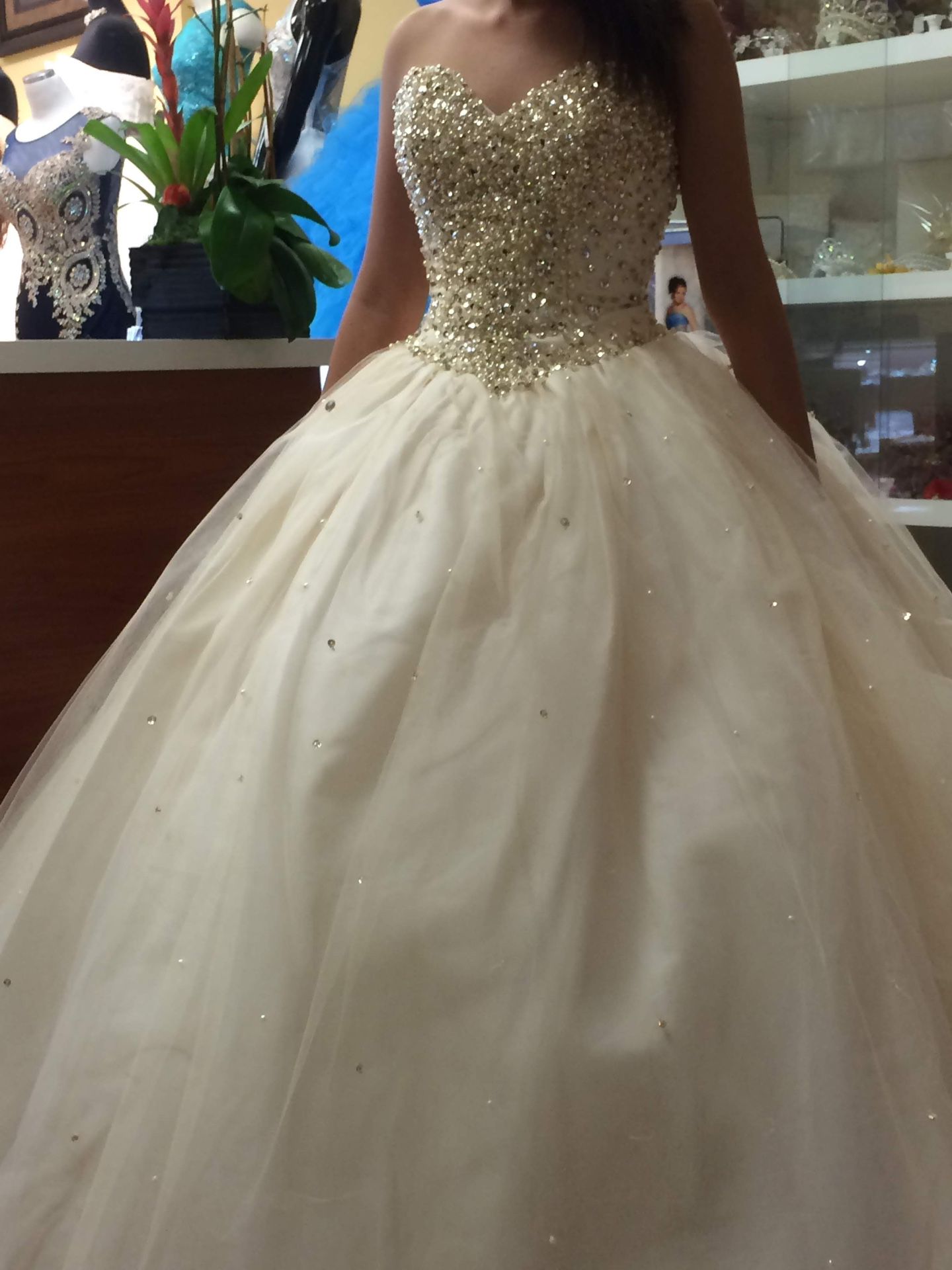 Quinceanera/Sweet 16 Dress/Ball Gown