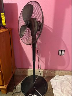 Fan