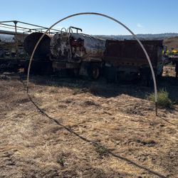 Greenhouse Hoops