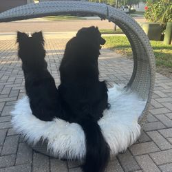 Luxury Outdoor Patio Dog Lounger 