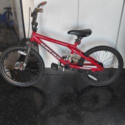 Kids Bicycle Bike 