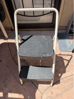 Cosco ladder