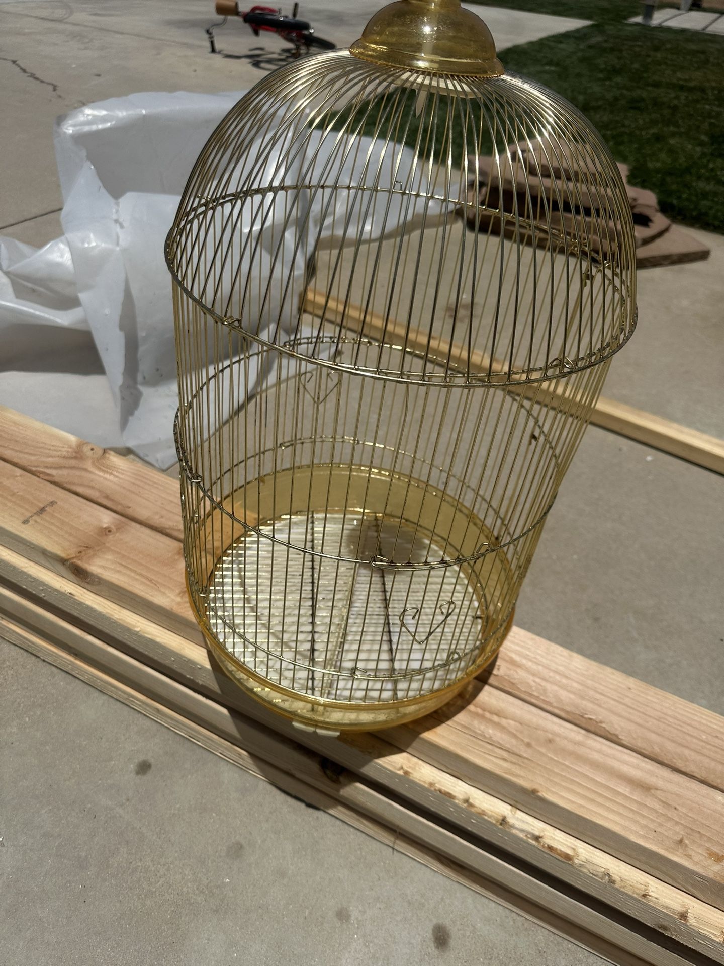 beautiful gold bird cage