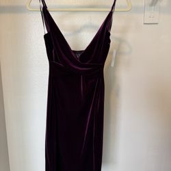 Plum Windsor Dress