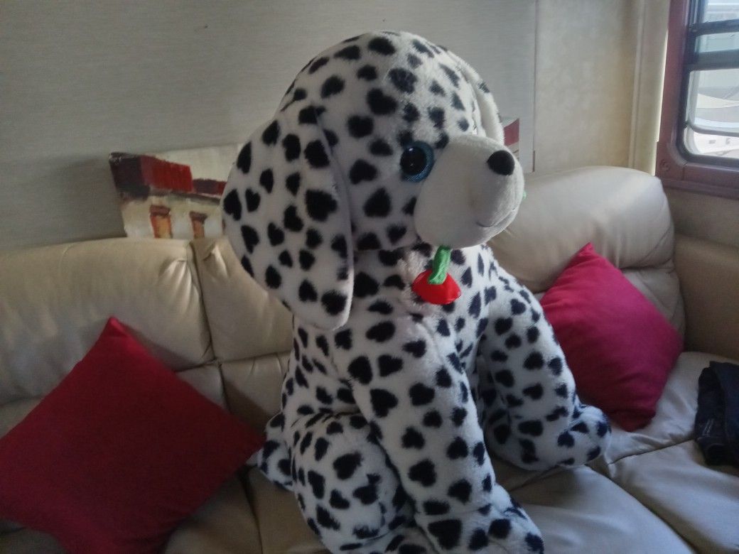 San Valentin Dog