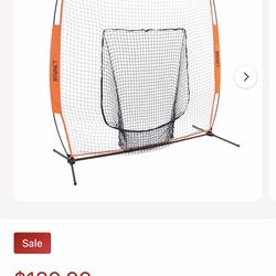 Bownet baseball net