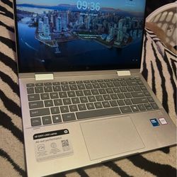 brand new hp laptop