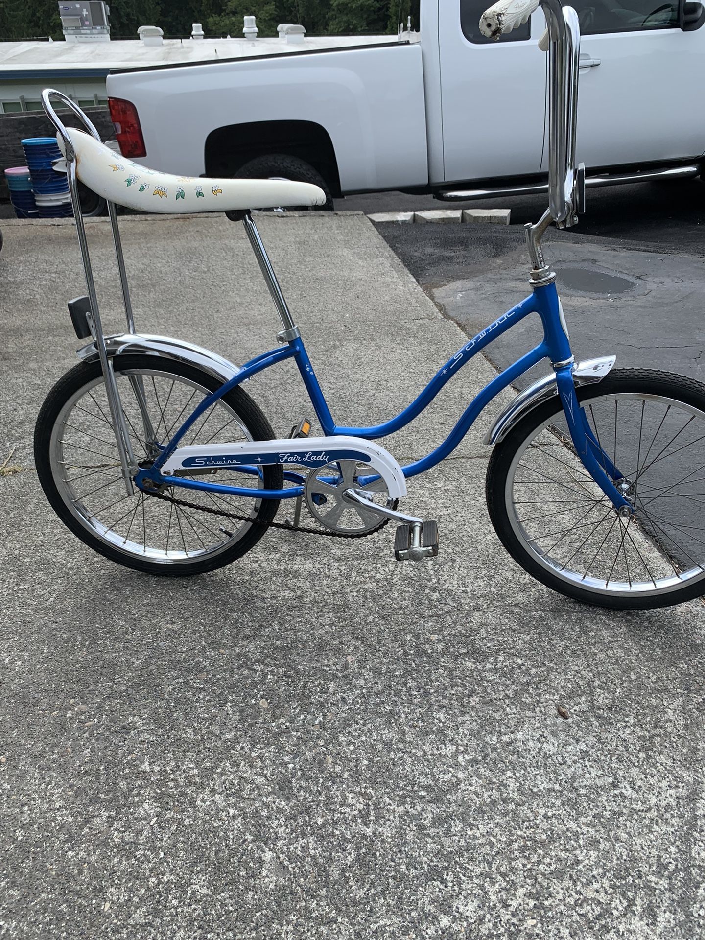 Schwinn Bike