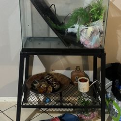 Fish Tank