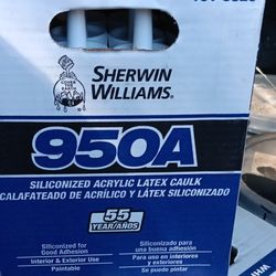 SHERWIN WILLIAMS CAULK 