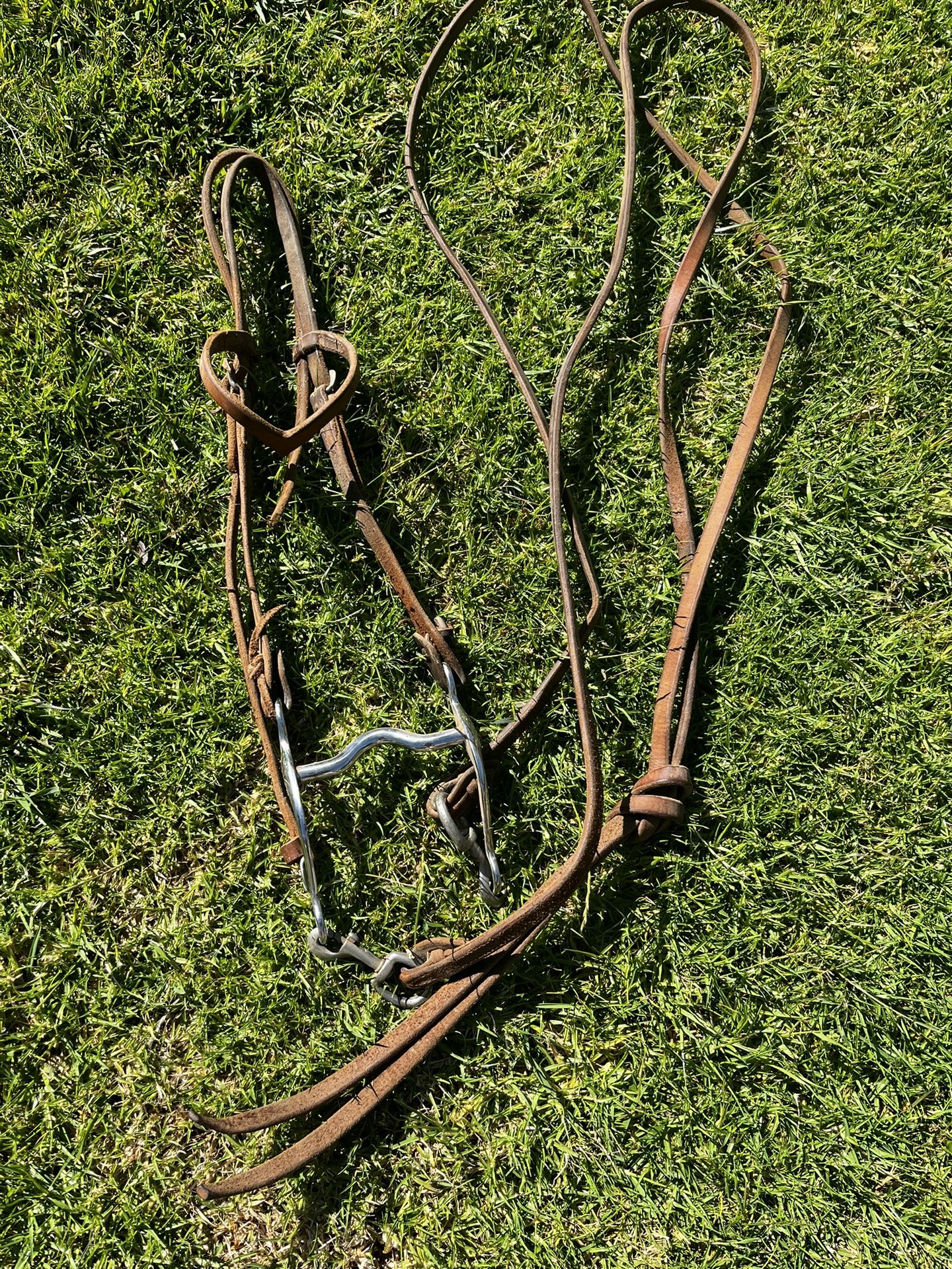 Western Bridle