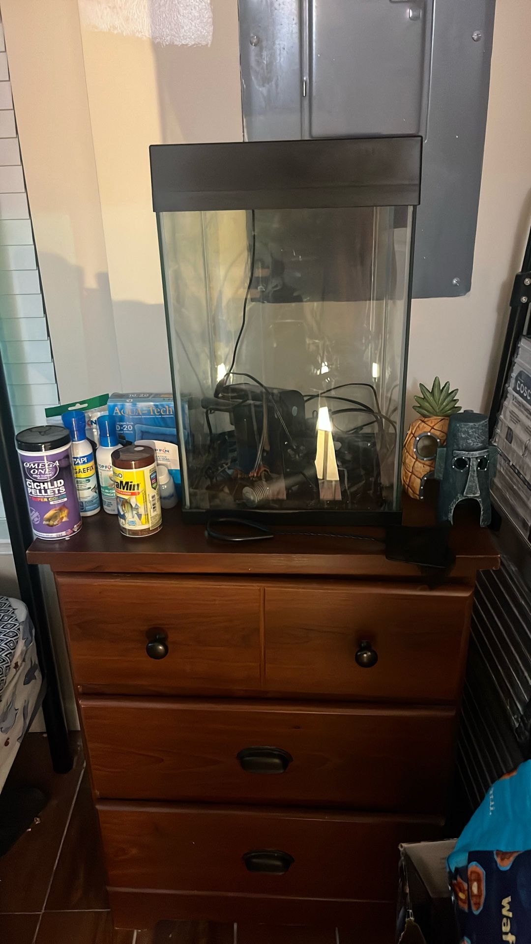 10 Gal Fish Tank With Supplies