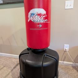 Century  Wavemaster - Training / Punching Bag