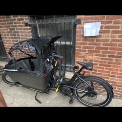 Urban Arrow Family Cargo Line