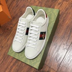 Gucci Ace 