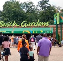 Busch Gardens Friends And Family Passes In Need 