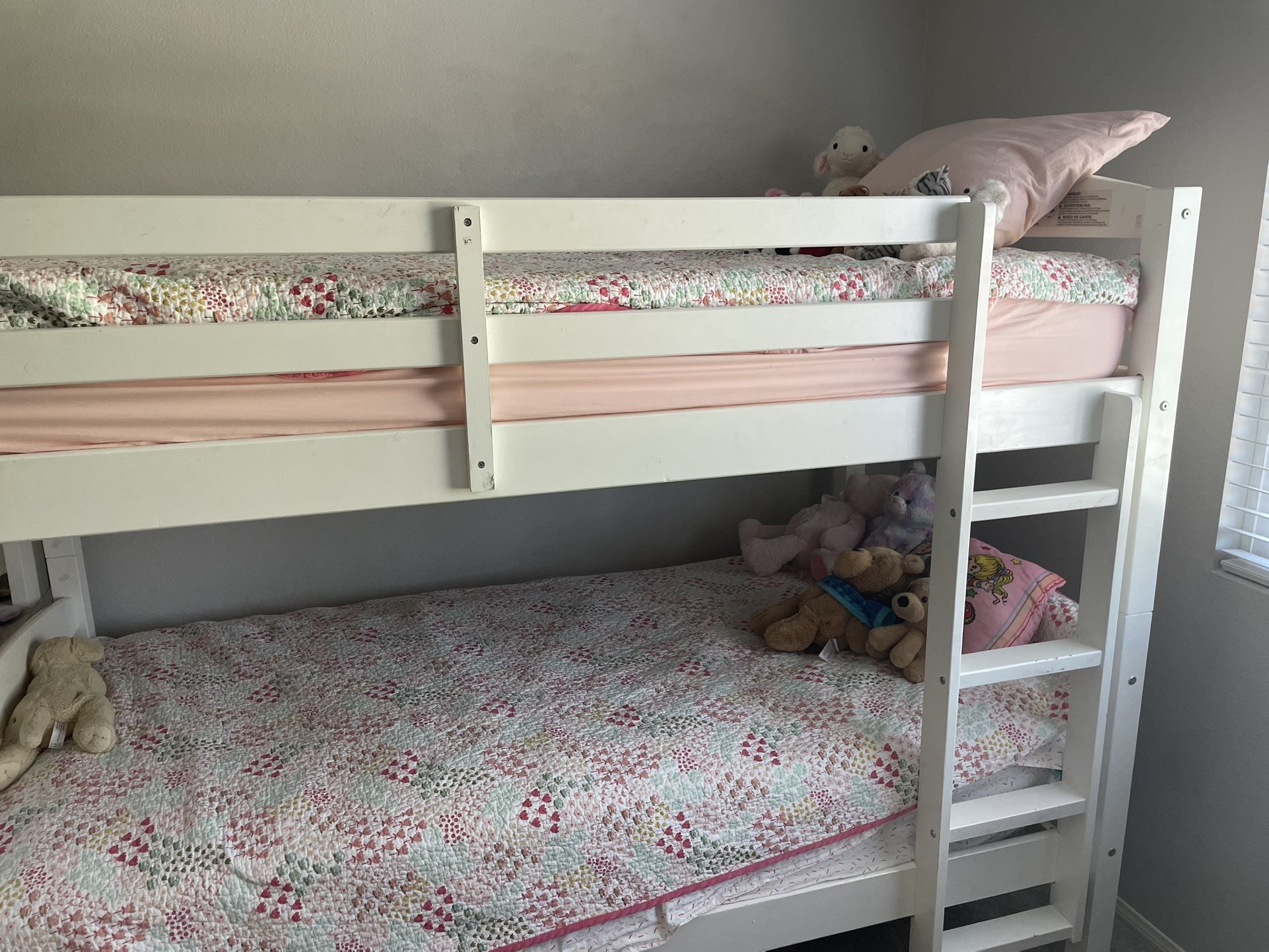 Bunk Beds
