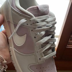Nike Dunks ( Not Sure On The Actual Name But They Are Dunks) 