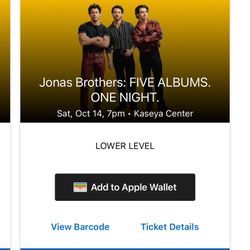 JONAS BROTHERS TICKETS TONIGHT