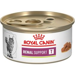 Royal Canin Wet Cat Food