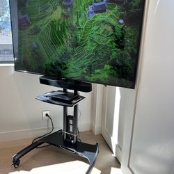Samsung 4K 65" TV with Rolling Cart