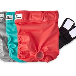 Pet Parents Washable Dog Diapers (3pack) of Durable Doggie Diapers, Premium Female Dog Diapers (X-Large, Southern Belle)
